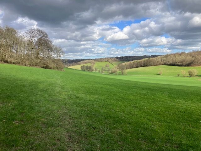 View near Woldingham